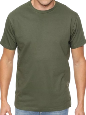 Remera Algodón